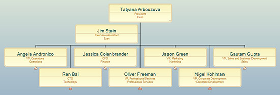 organisational chart example